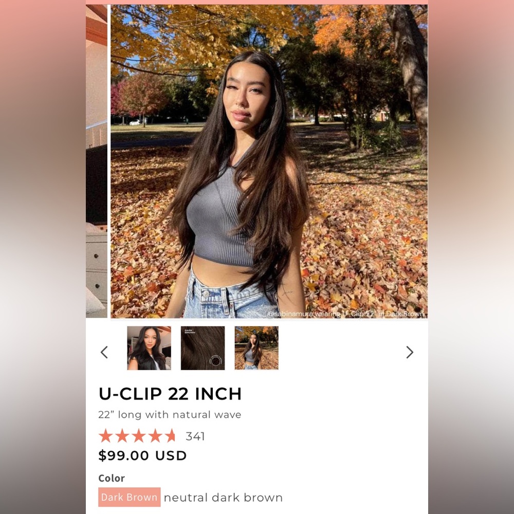 Insert name here hair: 22 in U-Clip